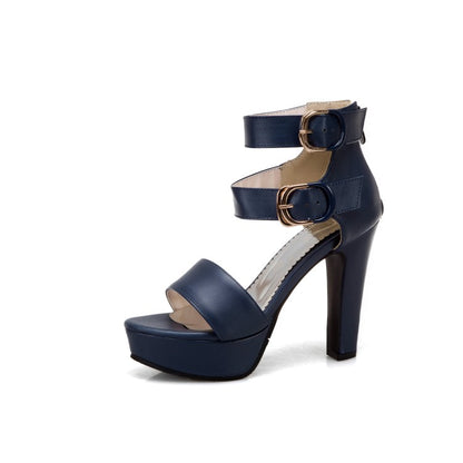 Ladies Solid Color Double Ankle Strap Platform Chunky Heel Sandals