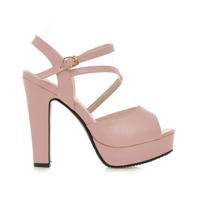 Women's High Heels Buckle Chunky Heel Platform Sandals