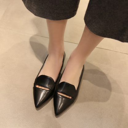 Women Pointed Toe Block Low Heels Pumps