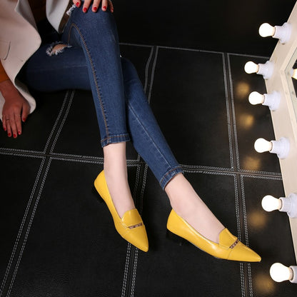 Women Pointed Toe Block Low Heels Pumps