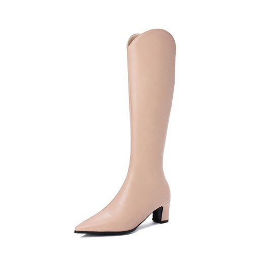 Women Pointed Toe High Heel Tall Boots