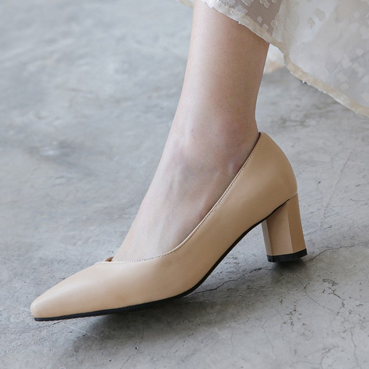 Women Pointed Toe High Heel Chunky Pumps