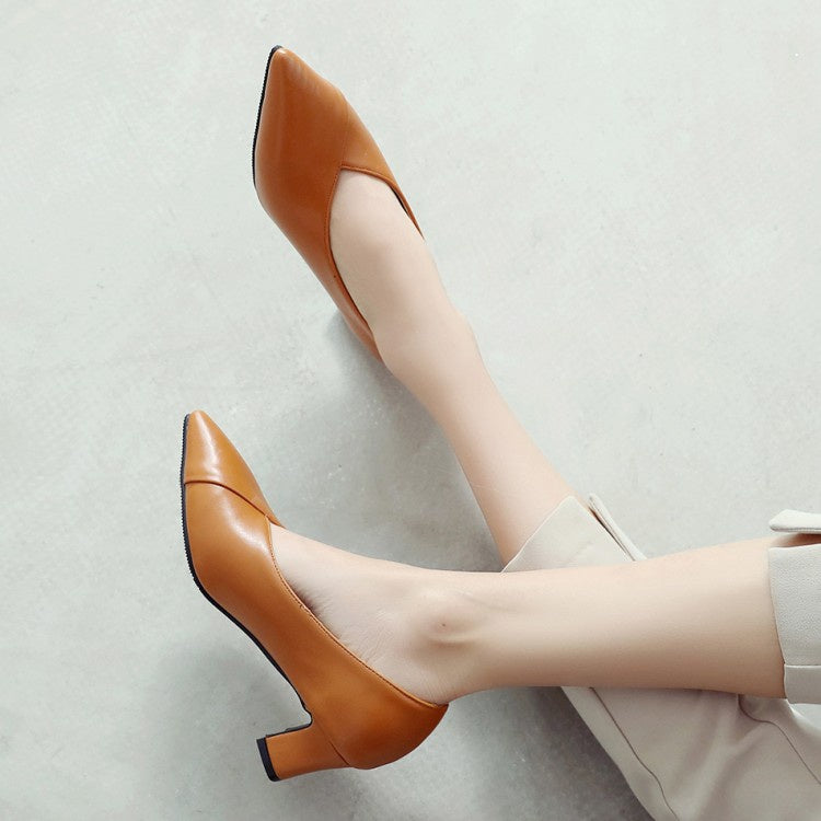 Women Pointed Toe High Heel Chunky Pumps