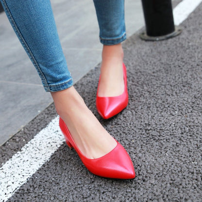 Women Pointed Toe Pumps Low Heeled Shoes