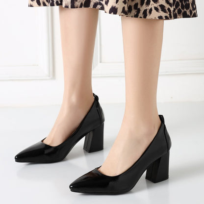 Women Pointed Toe High Heeled Chunky Heels Pumps