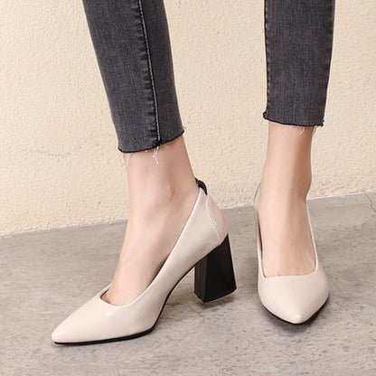 Women Pointed Toe High Heeled Chunky Heels Pumps