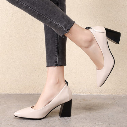 Women Pointed Toe High Heeled Chunky Heels Pumps