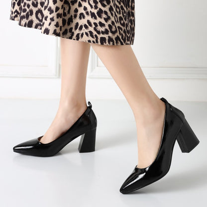 Women Pointed Toe High Heeled Chunky Heels Pumps