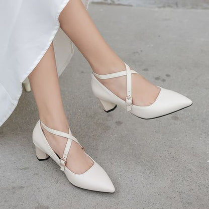 Women Pointed Toe Buckle High Heel Chunky Pumps